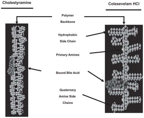 Figure 2 Comparison of the structures of cholestyramine and colesevelam.