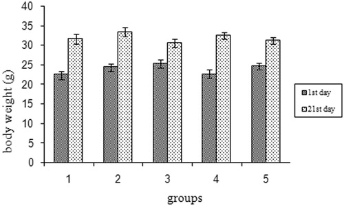 Figure 5. Effect of AME on body weight of mice. 1: sedentary control, 2: exercise control, 3:100 mg AME/kg b.wt, 4: 200 mg AME/kg b.wt and 5: 400 mg AME/kg b.wt AME.