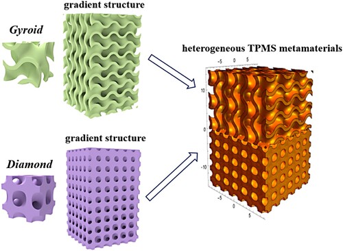 Figure 2. Generation of the heterogeneous TPMS metamaterials based on gradient gyroid and diamond surfaces.