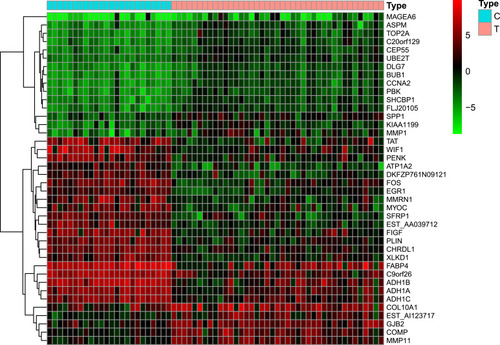 Figure 2 Heatmap of differentially expressed genes. Red indicates that the gene is highly expressed in the sample, and green indicates that the gene has lower expression in the sample.
