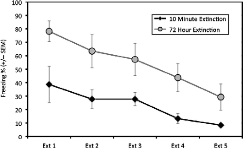 Figure 1.  Experiment 1: Extinction sessions 1–5 for 10-min extinction and 72-h extinction groups. Mean percent time freezing [ ± standard error of the mean (SEM)] during the first 8 min of each trauma (electrical foot shocks) context (A) extinction (Ext) session. The delayed (72 h) extinction group (n = 8) showed higher levels of freezing compared to the immediate (10 min) extinction group (n = 8). A mixed-design ANOVA revealed that there was a significant main effect of both group and extinction sessions p < 0.001 but no interaction. By the last extinction session, a post-hoc t-test revealed that freezing was not significantly different between the groups.