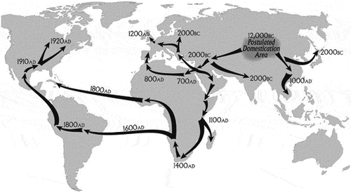 Figure 4. Historical map of the spread of industrial hemp/cannabis in the world (Warf Citation2014).