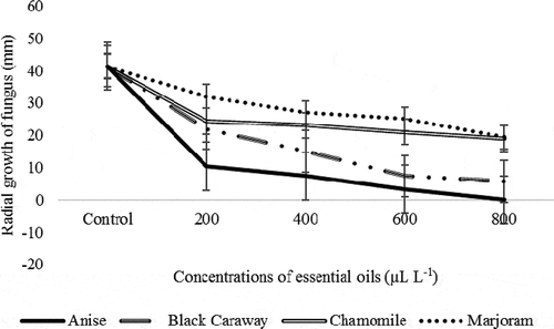 Figure 3. Interaction effect of different concentrations of four essential oils on radial growth (mm) of Penicillium sp. in in vitro conditions