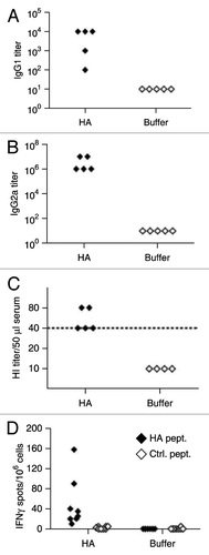 Figure 6. Immunological characterization of an RNActive® vaccine encoding hemagglutinin from influenza virus PR8. BALB/c mice were vaccinated intradermally with an RNActive® vaccine encoding hemagglutinin from influenza virus PR8 on day 1 and day 22. PR8HA-specific antibodies in the serum were quantified 4 weeks after the last immunization by IgG1- (A) and IgG2a-specific ELISA (B), and by hemagglutination inhibition (HI) assays (C). The dashed line in c indicates the conventionally defined protective HI titer of 1:40. (D) ELISPOT of IFNγ production in CD4+ T-cells sorted from vaccinated and buffer control mice on day 28. CD4+ T-cells were stimulated with a pool of five MHC class II–restricted peptides from HA (HA pept.) or as a control from the HIVpol protein (control; ctrl. pept.). Figure adapted with permission from ref. Citation25.