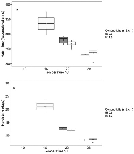 Figure 6. Hatch time in accumulated thermal units (a) and days (b) for each conductivity and temperature. The box plot shows the interquartile range (IQR, 25% and 75%), and the line shows the median value for hatch time among individuals. Whiskers represent the next quartile (1.5 × IQR), and outliers are represented by the black dots. The open circles represent the mean. Note: no fish hatched at 10 °C in either conductivity, or in the 16 °C–0.6 mS/cm treatment.