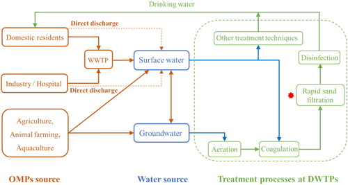 Figure 1. Summary of common pathways of OMPs circulation in water environment.