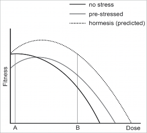 Figure 6. The effects of adaptation to mild stress. Three curves are used to represent the fitness of yeast cells that were previously not stressed (black line), pre-stressed (gray line) or show a hormetic response (dashed line). A and B indicate low and high doses of stress.