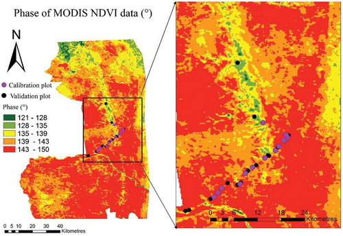 Figure 7. Phase image derived from harmonic decomposition of MODIS NDVI (2002–2015).
