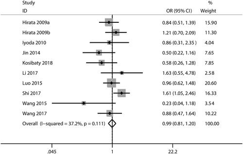 Figure 5. Forest plot of the OR for the relationship of ECT2 expression to age. OR: odds ratio; ECT2: epithelial cell transforming sequence 2.