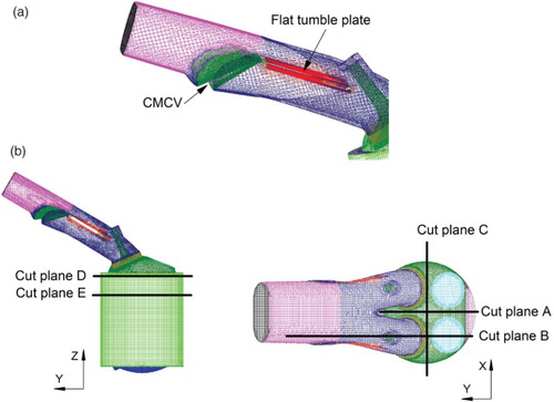 Figure 5. Computational mesh of GDI engine with CMCV at BDC (for Piston C): (a) intake port mesh with CMCV and (b) computational mesh and cut plane.