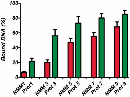 Figure 7. PicoGreen assay for the quantification of the DNA bound in NMM and protamine complexes at diﬀerent molar ratios ranging from 1 to 9 N/P molar ratios. Results are represented as mean ± SD (n = 3). NMM: NLS-Mu-Mu; N/P ratio: nitrogen to phosphate ratio; Prot: protamine.