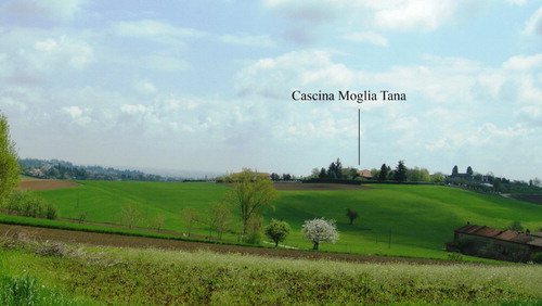 Figure 4. Wide terraced surface (Unit 7s) of Cascina Moglia di Tana observed from Castelverde.