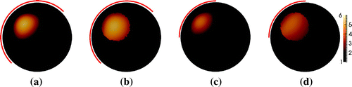 Figure 9. Sparse reconstruction of the phantom with a ball inclusion in Figure 2(a). (a) 50% boundary data, no prior. (b): 50% boundary data with 5% overestimated support. (c): 25% boundary data, no prior. (d): 25% boundary data with 5% overestimated support.