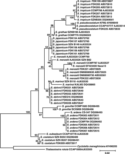 Fig. 1. Neighbour-joining (NJ) phylogram inferred from partial LSU rDNA sequences (795-bp long including alignment gaps) from 48 strains of 11 morphologically distinct taxa within Skeletonema with Cyclotella meneghiniana and Thalassiosira rotula as outgroups. NJ trees (Saitou & Nei, Citation1987) were constructed using the genetic distance estimated by the Kimura's two-parameter method (Kimura, Citation1980). Alignment gaps were excluded in the estimation of genetic distance, but the gaps were included in the pair-wise comparisons. Bootstrap values were calculated with 1000 replicates under the same settings as in the NJ analysis.
