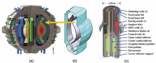 Fig. 1. (a) ARC fusion system, (b) flibe fusion blanket for ARC, and (c) FHR fission system