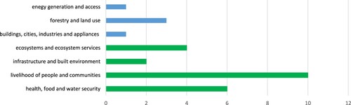 Figure 2. Result areas of GCF projects that invest in adapting social protection systems. Source: Authors.