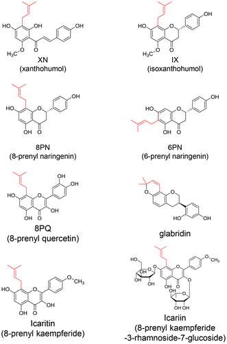 Figure 1. Chemical structures of prenyl flavonoids in edible plants.
