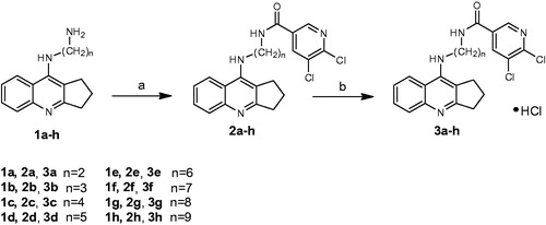 Scheme 1. Synthesis of compounds 2a–2h and 3a–3h. Reagents: (a) 5,6-dichloronicotynic acid, CDMT, N-methylmorpholine, THF; (b) HCl/ether.