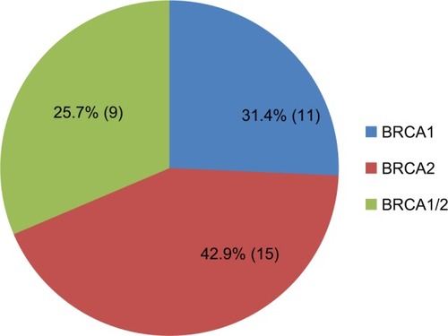 Figure 1 Patients (n=35) with BRCA1 and BRCA2 mutations.