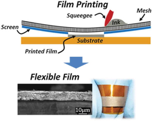Figure 18. Schematic illustrations of the preparation of flexible film using screen-printing technique reported by Varghese et al. Reproduced with permissions from Ref. [Citation142].