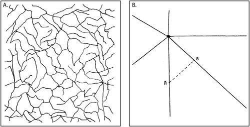 Figure 4. Flow piracy and percolation, before and after. (A) “Paths created by use and topography” (resembling “a dense concentration of capillaries”); (B) Centralized traffic hub” (forcing travel through the center). Illustrations are from Scott (Citation1998, 74–75).