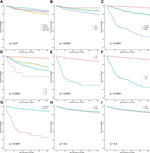 Figure 5 Kaplan–Meier curves of CSS in Asian-American patients with ccRCC, stratified by race/ethnicity (A), age at diagnosis (B), historic stage (C), T stage (D), N stage (E), M stage (F), the administration of surgery (G), tumor laterality (H) and sex (I). Younger age at diagnosis, earlier tumor stages (TNM, histological) and the administration of surgery were tightly associated with better CSS in Asian-American patients.