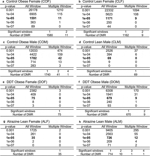 Figure 1. DMR identification. The number of DMRs found using different p-value cut-off thresholds. The all window column shows all DMRs. The multiple window column shows the number of DMRs containing at least two significant 1000 bp windows. The lower table of each set shows the number of DMR having each specific number of significant windows at a p-value <1e-05. (a) Control obese female DMR. (b) Control lean female DMR. (c) Control obese male DMR. (d) Control lean male DMRs. (e) DDT obese female DMRs. (f) DDT obese male DMRs. (g) Atrazine lean female DMRs. (h) Atrazine lean male DMR.