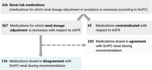 Figure 3. The number of renal risk medications and various subgroups.