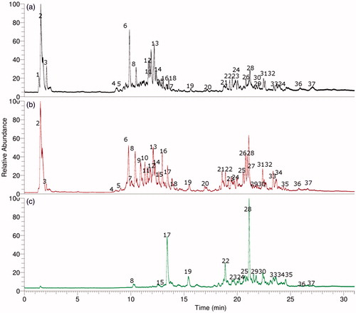 Figure 2. UHPLC Chromatograms of L. rivularis extracts, (a) ethanolic extract, (b) aqueous infusion (c) ethyl acetate extract.