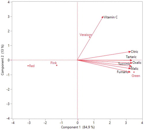 Figure 6. Correlation between different ripening periods and organic acid distributions of Rovada fruits