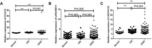 Figure 1 Differential expression of lncRNAs in the serum of the normal controls, patients with CIN and CESC. (A) CCAT2, (B) LINC00511, (C) LINC01133. *** P<0.001.