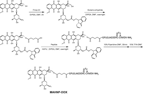 Figure 1. Structure of MAHNP-DOX and its synthetic scheme.