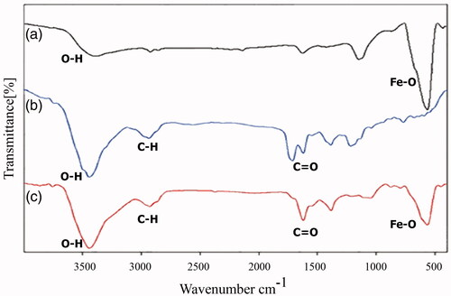 Figure 2. FTIR spectra of (a) uncoated Fe3O4 NPs, (b) citric acid and (c) CA-MNPs.