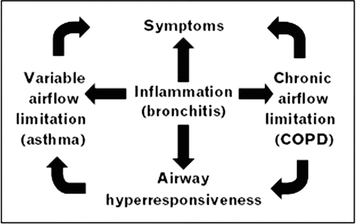 Figure 2.  Components of airway diseases and their relationship to one another.