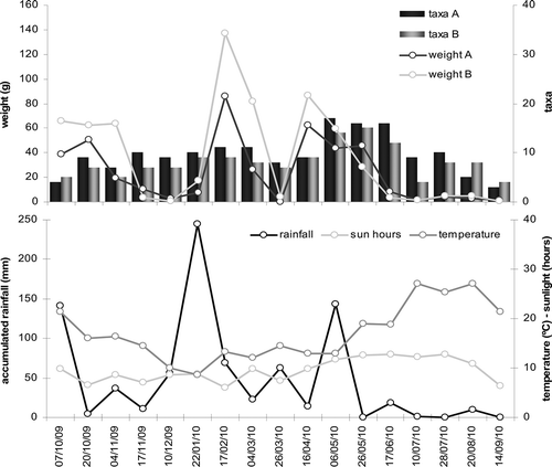 Figure 3. Weight of pollen in grams and number of taxa collected in both hives A and B during the year (above). Accumulated daily rainfall (mm), daily hours of sun and daily mean temperature (°C) per sampling (below).