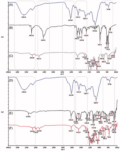 Figure 5. FT-IR spectra of C. krusei pseudomycelium exposed to (A) control without treatment, (B) water insoluble fraction (WIF) from U. tomentosa bark, (C) terbinafine resistant strain, (D) WIF:TRB in 1:4 combination ratio.