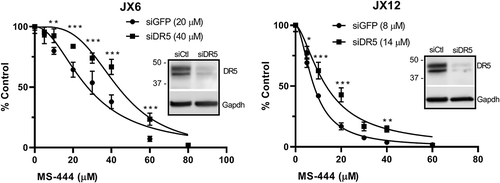 Figure 4. MS-444 induced cytotoxicity is partially reversed with DR5 knockdown. Glioblastoma xenolines were transfected with siRNA targeting DR5 or a control siRNA followed by treatment with MS-444 for 24 h. Viability was determined by the Vialight luciferase assay. Data points represent three independent tests ± SD. *P < 0.05; **P < 0.01; ***P < 0.001.