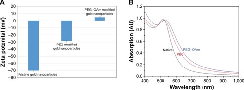 Figure 6 (A) Zeta potential and (B) UV–Vis spectra of pristine GNS, GNS–PEG, and GNS–PEG–OAm.Notes: Error bars represent SD, n=3. A red shift in the spectrum occurred after functionalization indicating growth in particle size.Abbreviations: GNS, gold nanoparticles; OAm, oleylamine; PEG, poly(ethylene glycol); UV–Vis, ultraviolet–visible.