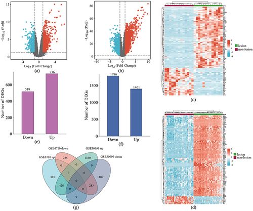 Figure 1 Differential gene screening. (a) Heatmap of DEGs in GSE6710. (b) Heatmap of DEGs in GSE30999. (c) Volcano plot of DEGs in GSE6710. (d) Volcano plot of DEGs in GSE30999. Number of DEGs in (e) GSE6710 and (f) GSE30999. (g) Venn diagram of common DEGs in GSE6710 and GSE30999.