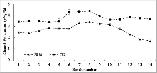 Figure 1. Ethanol production (v/v, %) by immobilized E. coli strains FBR5 and TS3 in WPM reused for 14 successive fermentation cycles following an initial (single) fermentation culture. Values are averages of 2 individual experiments; error bars indicate standard deviations (n-1). T-tests showed that the FBR5 and TS3 values were different, with P values between 0.002 and 0.05, for all batches except number 3 (P value of 0.07)
