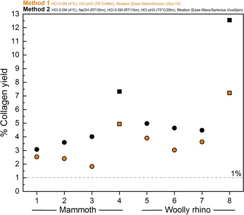 Figure 3. Differences in % collagen yield between the Method 1 (orange) and Method 2 (black) pretreatment protocols for the mammoth bone (samples 1-4) and woolly rhino bone (samples 5-8). Squares are whole pieces of bone and circles are bone powder samples.