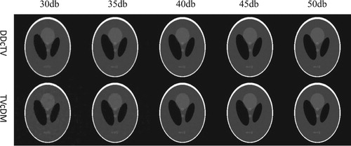 Figure 7. The reconstructed Shepp–Logan images of DDcTV- (the first row) and TVcDM-CP (the second row) algorithms from projection data of SNR of 30db, 35db, 40db, 45db and 50db.