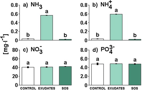 Fig. 5. The concentration of ammonia (a), ammonium (b), nitrate (c) and orthophosphates (d) in culture media filtrates (Control, Exudates or SOS). Different letters above the bars indicate significant differences highlighted by Tukey’s HSD test at the significance level of P = 0.05.