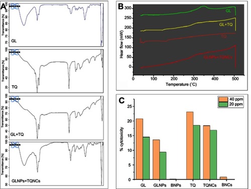 Figure 3 FTIR spectra (A) and DSC (B) of GL, combined pure GL+TQ, TQ and combined GL+TQ NFs; (C) cytotoxic effect of different pure bioactive compounds and their NFs on Vero cell lines.Abbreviations: FTIR, Fourier-transform infared; DSC, differential scanning calorimetry; GLNPs, glycyrrhizin-loaded nanoparticles; BNPs, blank NPs; TQNCs, thymoquinone-loaded nanocapsules; BNCs, blank NCs; NFs, nanoformulations; GL, glycyrrhizin; TQ, thymoquinone.