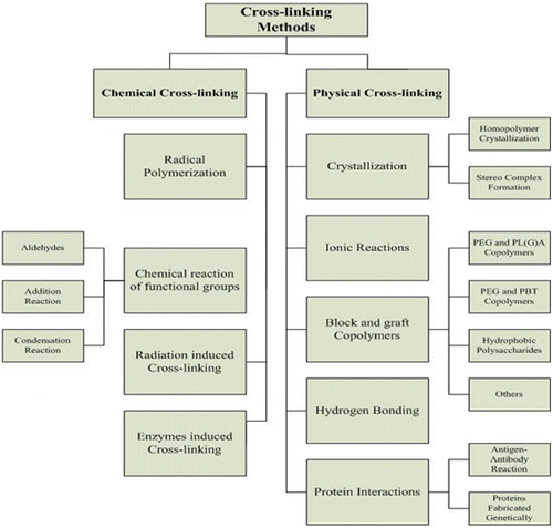 Figure 7. Methods of crosslinking of hydrogels.