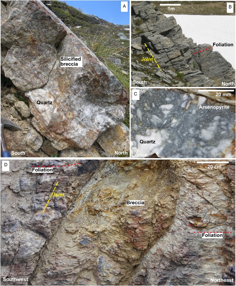Figure 4 Field photographs of gold-bearing faults and associated structures. A, Outcrop of Alpine Reef. B, Jointed Torlesse Terrane schist near Alpine Reef. C, Silicified breccia with arsenopyrite in Alpine Reef. D, Fault breccia without silicification in mineralised fault in Caples Terrane schist c. 1 km southeast of Conroys Reef (Fig. 2A).