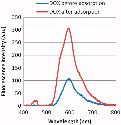 Figure 3. Representative fluorescence intensity of 1.0 mg/mL doxorubicin (DOX) before and after adsorption. The fluorescence peak of nanodiamond–doxorubicin is found at 600 nm.