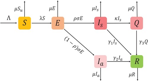 Figure 2. Flow chart for the HFMD model.