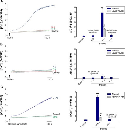 Figure 5 The effect of nanoparticles and cationic surfactants on Ca2+ mobilization in human neutrophils.Notes: Typical traces and intracellular Ca2+ of the effect of (A) lipid nanoparticles, (B) polymeric nanoparticles, and (C) cationic surfactants. Intracellular Ca2+ of human neutrophils treated with nanoparticles and cationic surfactants was determined with or without BAPTA-AM (20 μM). Some formulations were excluded in the BAPTA-AM experiment due to the lack of elevation of these mediators in the absence of BAPTA-AM. *P<0.05; **P<0.01; ***P<0.001 compared to the control. #P<0.05; ##P<0.01; compared to the corresponding control.Abbreviations: BAPTA-AM, 1,2-bis(2-aminophenoxy)ethane-N,N,N’,N’-tetraacetic acid; CTAB, cetyltrimethylammonium bromide; N-b, blank NLCs; N-c, CTAB-coated NLCs; NLCs, nanostructured lipid carriers; N-s, SME-coated NLCs; P-b, blank PLGA nanoparticles; P-c, CTAB-coated PLGA nanoparticles; PLGA, poly(lactic-co-glycolic) acid; P-s, SME-coated PLGA nanoparticles; s, seconds; SME, soyaethyl morpholinium ethosulfate.