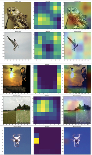 Figure 8. Grad-CAM visualization targets.